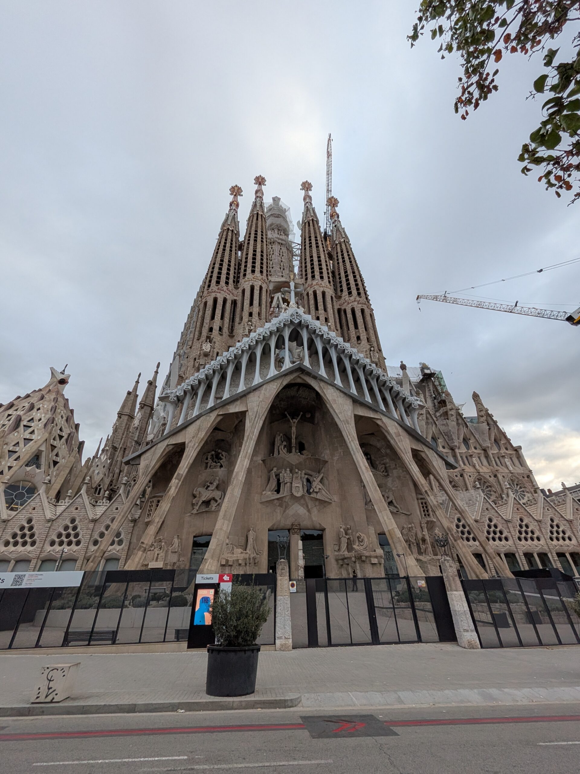 PXL_20251213_075431904